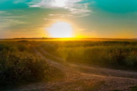 Sunset on the background of the field Stock Photos