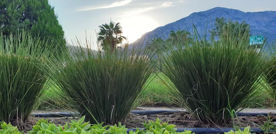 Sunset on the background of mountains Stock Photos