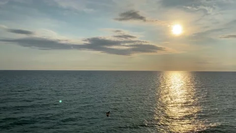 Sunset on the background of the seascape Vidéo 161296611