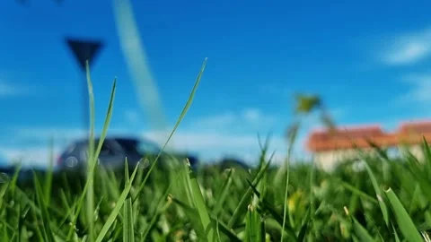 Sunset background sitting on green grass and blue sky, cars pass by as the day Stock Footage 341897980