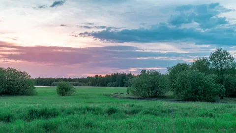 Sunset on a background of trees 库存影片 131091585