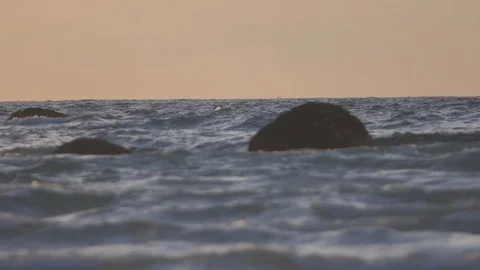 Sunset background at tropical beach with sea waves in slow motion Stock-Footage 86294998