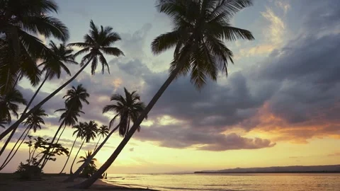 Sunset on Bahama Beach. Background of palm beach in the Atlantic ocean. Stock Footage 244102993