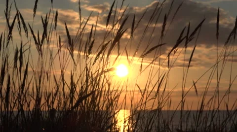 Sunset on the Baltic Sea, camera slowly moves from left to right Vídeo Stock 65022432