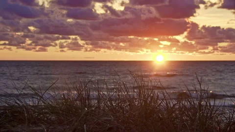 Sunset at Baltic Sea with grass Video stock 96078184