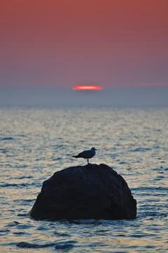 Sunset on the baltic sea Foto stock