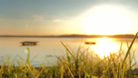Sunset on the bank of the lake Stock Footage 95389853