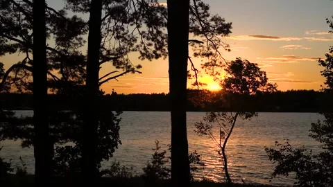 Sunset on the banks of the river in the forest Stock Footage 202717602
