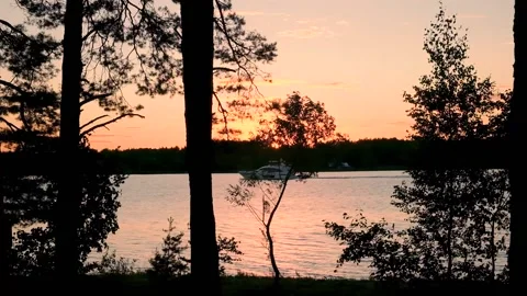 Sunset on the banks of the river in the forest. Stock Footage 202717613
