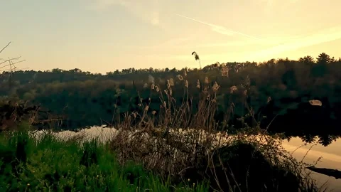Sunset on the banks of the Ticino river Stock Footage 309864441