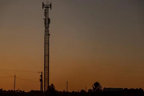 At sunset the bare silhouettes of tall trees and telecommunications towers Stock Photos