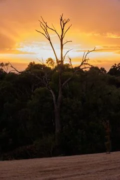 Sunset - Barwite Stock Photos