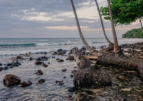 Sunset in Bastimentos island Stock Photos