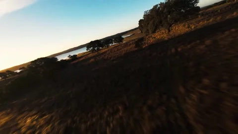 Sunset bathes fields and water in warm, golden light Stock Footage 342181869