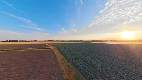 Sunset bathes fields in warm golden light Stock-Footage 342591088