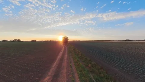 Sunset bathes fields in warm, golden light. Dirt path winds through cultivated Stock Footage 343696534