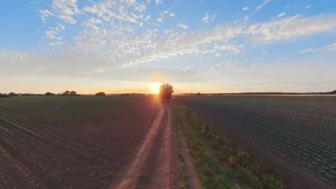 Sunset bathes rural fields in golden light Видео 342590071