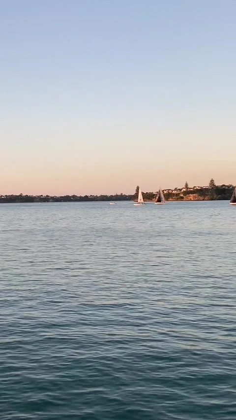 Sunset on the bay in Auckland Vidéo 344046698