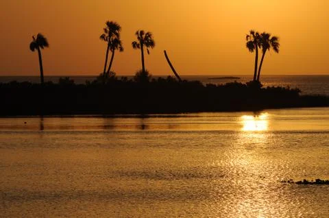Sunset Bay with Palm Trees Stock Photos