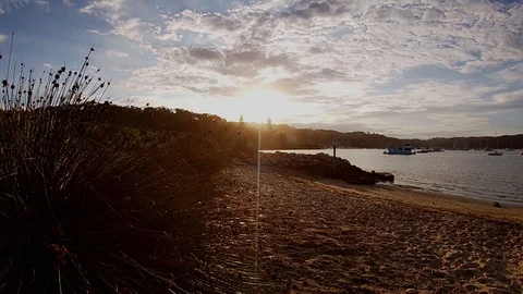 Sunset on a bay tracking past reeds on a beach with boats in the background. Stock-Footage 129011379