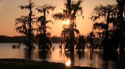 Sunset on the Bayou Видео 22158984