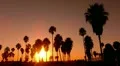 Sunset Beach 07 Silhouette Venice California HD Footage
