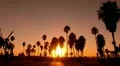 Sunset Beach 08 Silhouette Venice California HD Footage