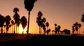 Sunset Beach 11 Silhouette Venice California HD Footage