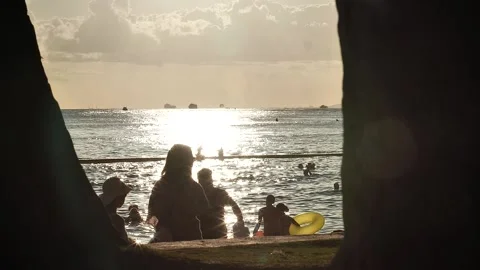 Sunset in the beach 112 Stock Footage 155495239