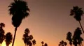 Sunset Beach 13 Silhouette Venice California HD Footage