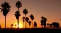 Sunset Beach 14 Silhouette Venice California HD Footage