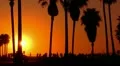 Sunset Beach 16 Silhouette Venice California HD Footage