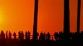 Sunset Beach 17 Silhouette Venice California HD Footage