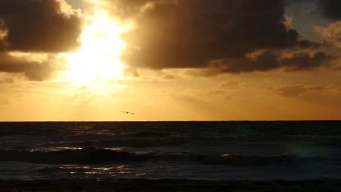 Sunset on the beach 4K clip Stock Footage 74766705