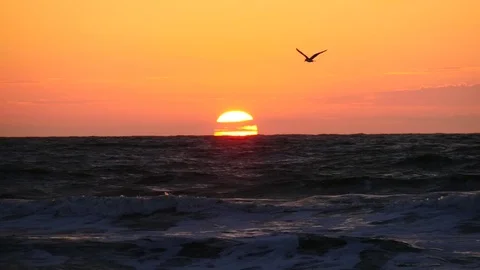 Sunset on the beach 4K clip Stock Footage 74767185