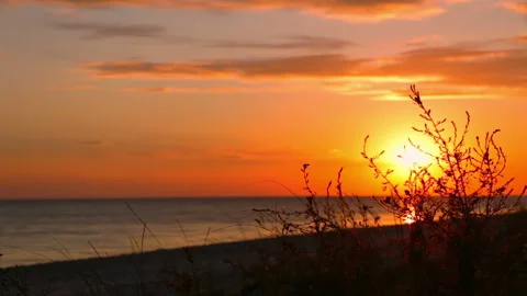 Sunset on the Beach and Grass Vidéo 106464132