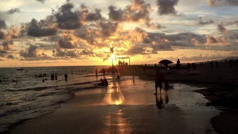 Sunset, beach and la palapa Stock Footage 81182440
