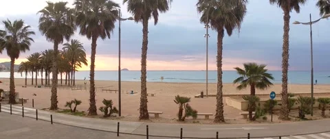 Sunset on the beach and palm trees on the waterfront Stock Footage 271192515