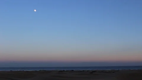 Sunset on the beach in Atlantic Ocean, with full moon in the background. Stock Footage 99152224