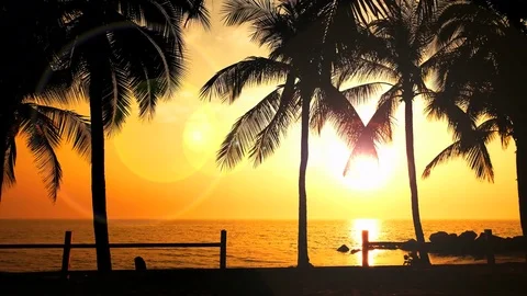 Sunset at the beach behind coconut trees With Lens Flair.Time lapse. Stock Footage 84963341