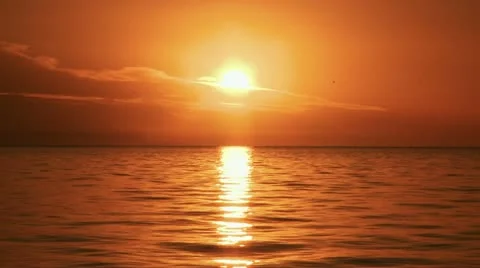 Sunset Beach with Birds Flying 動画素材 11017210