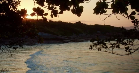 Sunset on the Beach With Branches in Foreground Stock Footage 247461646