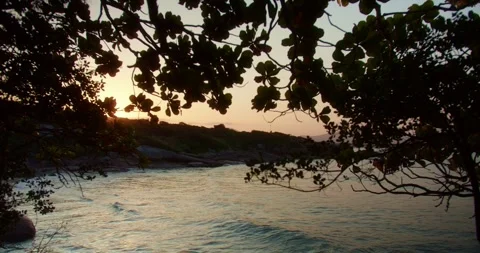 Sunset on the Beach With Branches in Foreground Stockbeeldmateriaal 247461865