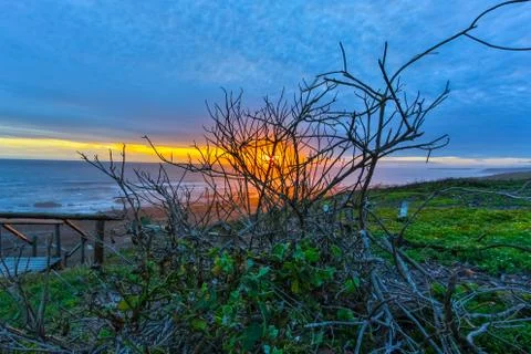 Sunset at the beach with a branches Stock Photos