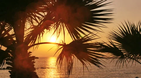Sunset on the beach of caribbean sea Stock Footage 55409317