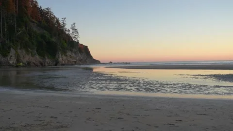 Sunset on Beach with Cliffs and Pine Trees Stock Footage 341367561