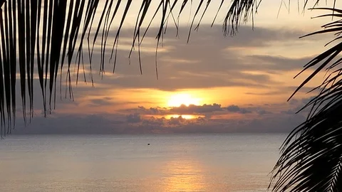 Sunset on the beach with coconut leaves in front 库存影片 118284102