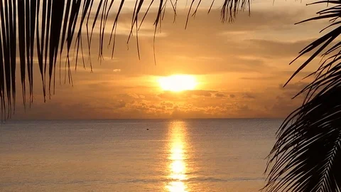 Sunset on the beach with coconut leaves in front Vidéo 118284221