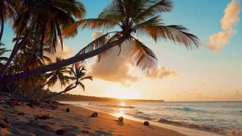 Sunset beach coconut palms on the beach. Thailand beach stock videos footage 4K Stock Footage 114111476