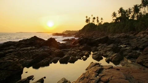 Sunset on the beach with coconut palms. Sri Lanka Stock Footage 84772174